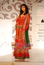 Model walks the ramp for Monapali at Aamby Valley India Bridal week DAY 3 on 31st Oct 2010 (29).JPG
